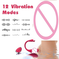 Erwachsenen-Sexspielzeug Klitoris-Nippel-Orgasmus-Gerät In-Vaginal Out-Vaginal Fernbedienung 12-Frequenz Vibration für Frauen Männer Sextoys