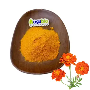 High Quality Natural Lutein 5% Marigold Extract Lutein Powder