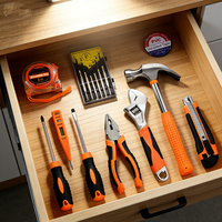 Kit d'outils professionnel Big Walrus DHSTT-015 pour l'entretien informatique et domestique, comprenant un tournevis combiné et une clé à molette réglable en plastique