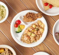 Boîte à lunch jetable biodégradable Récipient alimentaire Assiette en papier jetable 9 pouces Assiettes à 3 compartiments