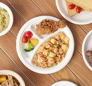 Biologisch abbaubare Einweg-Brotdose Lebensmittel behälter Einweg-Papp teller 9-Zoll-3-Fach-Teller - Product Image 5