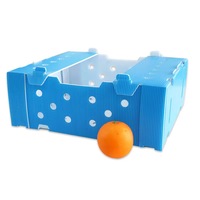 Meilleur prix d'usine PP ondulé empilable cerise raisins caisses d'emballage stockage en plastique Fruits légumes navire boîte de circulation