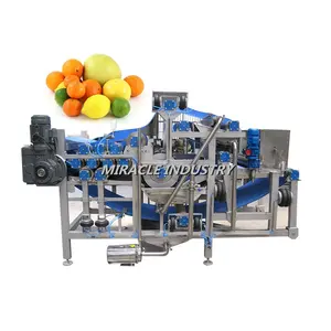 Máquina industrial da pressão do filtro da correia de frutas, máquina de espremer o suco da fruta
