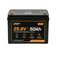 RV Camper Marine 25.6V 50Ah LiFePO4 Deep Cycle Batterij Bluetooth BMS 6000 Cycli Graad A 1280Wh