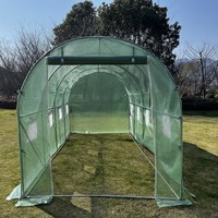 Mini serre d'hiver pour jardin domestique avec fenêtre