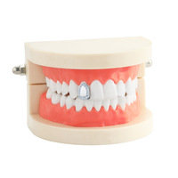 Grillz individuel Y2K Hip Hop tendance, avec zircon cubique (CZ) étincelant, style rappeur, bijou personnalisé pour fête, OEM ODM Dropshipping