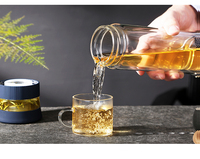 Bouteille à thé en verre borosilicate à double paroi de 250 ml, tasse portable pour voiture avec filtre et couvercle
