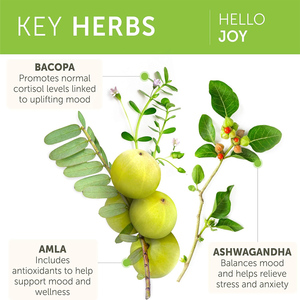 Capsules de bacopa, amla et ashwagandha de haute qualité (ODM/OEM) : améliorent l'humeur, réduisent le stress, stimulent la motivation, atténuent l'irritabilité. - Product Image 4