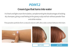 New arrivals chăm sóc tóc hữu cơ khô dầu gội không aerosol cho không khí rửa không có màu trắng đúc sinh thái thân thiện với nước miễn phí tóc khô dầu gội Gel - Product Image 3