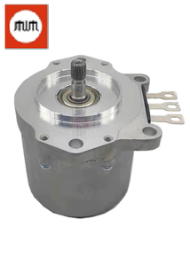 Venta caliente barato DH 600W de energía eléctrica de dirección/motor DC sin escobillas motor para vehículo - Product Image 4