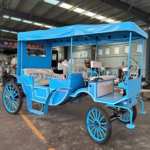 Chariot Électrique Romantique de Cendrillon pour Jardin, Fleur, Cheval, et Résidence – Véhicule Touristique Essentiel et Charmant pour un Tour en Voiture de Contes de Fées - Product Image 2