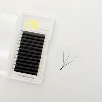 Extensions de cils 3D 4D 5D en forme de W, plateaux de cils préfabriqués en éventail, doux et naturels, fournitures de cils personnalisables avec logo privé, vente en gros