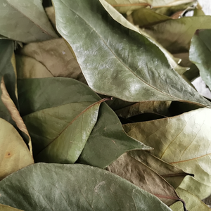 Hojas de Guanábana de hierbas orgánicas de alto grado sin conservantes y secadas al sol - Product Image 1