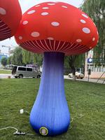 Ballons gonflables utilisés de champignon et de fleur de fête à thème du pays des merveilles avec la LED pour la décoration