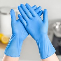 Fabricant chinois de gants jetables en nitrile, doublés ou non, imperméables, sans poudre/sans latex, avec bouts des doigts texturés, pour usage domestique