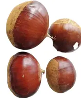 Chestnut, Wholesale Price