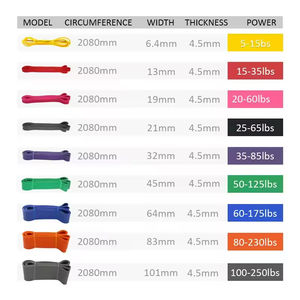 Bandas de Resistencia para Hacer Ejercicio, Bandas de Asistencia para Dominadas, Bandas de Ejercicio de Nivel Superior con Bolsa para Entrenamientos en Casa - Product Image 4