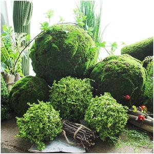 Plante Artificielle en Plastique Verte Suspendue Nouveauté 2026 – Articles de Décoration Intérieure, Grande Décoration Ornamentale pour Abri de Jardin et Mousse - Product Image 2