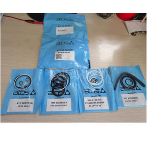 Kit de réparation de joints de pression d'huile importés, d'origine <span class=keywords><strong>italienne</strong></span> Atos <span class=keywords><strong>série</strong></span> OEM/ODM CK, haute qualité, durables et personnalisés - Product Image 6