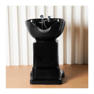 Nuevo Producto Moderno: Sillón de Peluquería con Lavacabezas Portátil para Spa Capilar y Bidé - Product Image 1