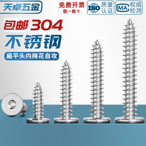 Tornillos Autorroscantes de Cabeza Plana Torx de Acero Inoxidable 304 Tianzhuo Hardware M2 M3 M4 M5 para la Industria de la Construcción - Product Image 4
