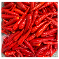 Piments frais, légumes crus, aliments et boissons de l'équipe professionnelle, excellent service après-vente agricole, vietnamien, 30 kg/paquet
