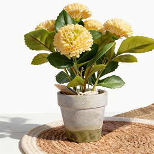 Meilleur prix pour les <span class=keywords><strong>fleurs</strong></span> artificielles de dahlia, <span class=keywords><strong>fleurs</strong></span> personnalisées de petite taille, vente <span class=keywords><strong>en</strong></span> gros, décoration de mariage, <span class=keywords><strong>fleurs</strong></span> réalistes <span class=keywords><strong>en</strong></span> <span class=keywords><strong>pot</strong></span> <span class=keywords><strong>en</strong></span> pulpe de papier - Product Image 5