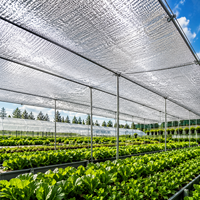 Filet d'ombrage réfléchissant argenté en HDPE de 5m x 6m pour le contrôle de la chaleur dans les serres, pépinières, fermes et jardins
