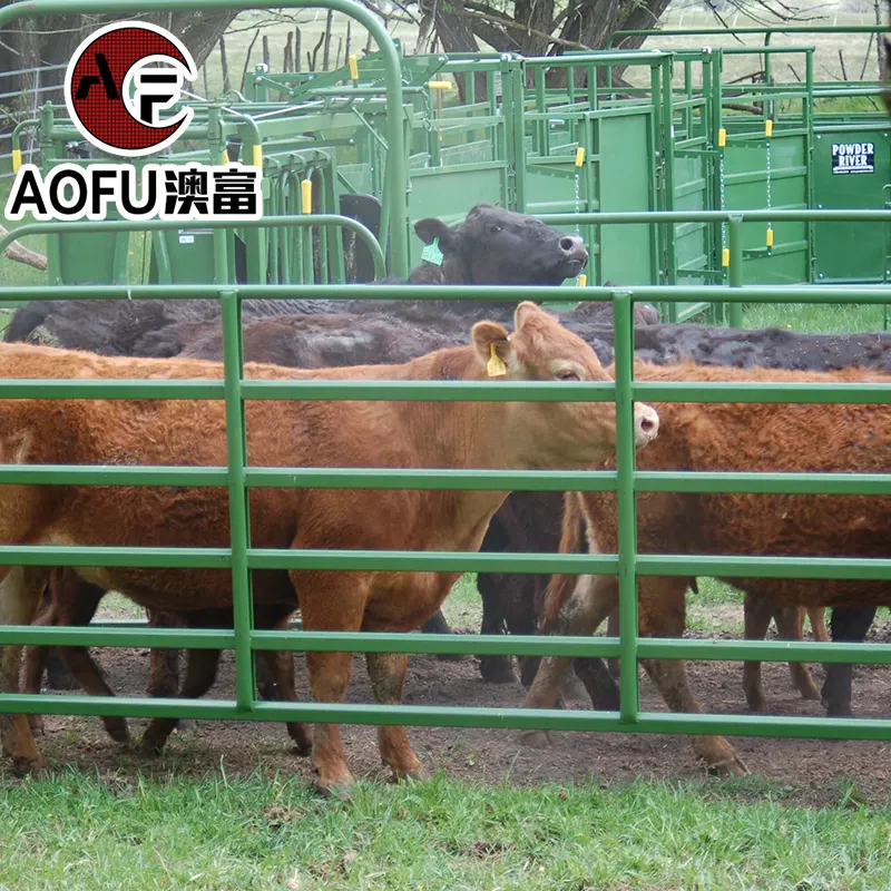 Heavy duty wholesale bulk galvanized livestock farm yard cow cattle corral fence panels
