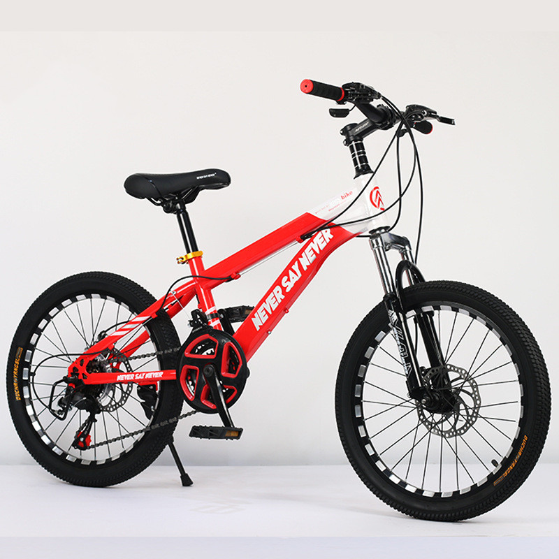 22 inch bmx bike for sale