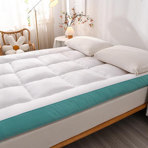 Colchón Transfronterizo Tridimensional de Plumas, Terciopelo, Poliéster y Fibra de Soja, Acolchado Suave Cepillado para Hogar y Dormitorio Estudiantil - Product Image 3