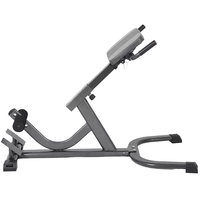Chaise romaine en acier réglable bas du dos banc d'exercice ischio-jambiers fessiers maison Gym Fitness outil Machine-Extension Machine banc