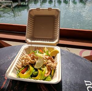 กล่องอาหารแบบฝาพับ 9x9 นิ้ว ทำจากชานอ้อย เป็นมิตรต่อสิ่งแวดล้อม ย่อยสลายได้ เหมาะสำหรับร้านอาหารและอาหารแบบซื้อกลับบ้าน - Product Image 5