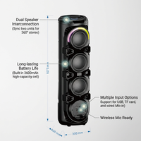 Enceinte portable sans fil pour fêtes, lumière LED RGB, microphone intégré, alimentation par batterie, chargement USB, plastique, 30W RMS pour karaoké