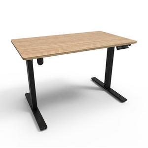 <span class=keywords><strong>El</strong></span> diseño perfecto para una mesa de pie con elevador <span class=keywords><strong>el</strong></span>éctrico de altura regulable con UN solo motor - Product Image 1