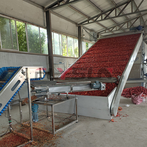 Automatic Mesh <b>Belt</b> Dryer Fully Automatic Chilli Washing Slicing Drying Production Line for Mexican Peppers and <b>Red</b> Peppers - Product Image 2
