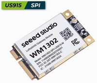 Passerelle intérieure LoRaWAN ZYSY US915/EU868/AU/AS923, serveur réseau IoT SPI-US LoRaWAN compatible AWS/TTN/ChirpStack LNS