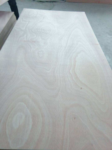 Modern huş kontrplak 16mm kalınlığı 1/8 3/<span class=keywords><strong>4</strong></span> inç B/BB BB/<span class=keywords><strong>CPP</strong></span> kontrplak Modern panoları - Product Image 5