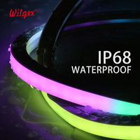 Luces LED de Neón Flexibles para Hoteles y Parques Temáticos, 24V WS2811 RGBIC Pixel Programables, Tiras de Luces para Exteriores
