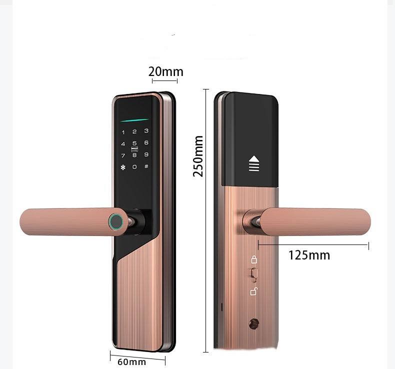 สีน้ำตาล