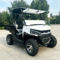 UTV électrique multifonctionnel 10 kW 72 V 4x4 pour le tout-terrain et la chasse, 2 places, équipé de différentiels avant et arrière