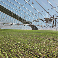 Plateaux de semis en PS/PET à 200 cellules, plateaux de germination de graines, plateaux de pépinière pour l'agriculture, la serre, la ferme, le jardin