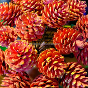 Các loại kích thước pinecones giáng sinh trang trí cây giáng sinh trang trí vòng hoa trang trí nội thất Cung cấp lựa chọn cẩn thận nhỏ để vừa cones - Product Image 5