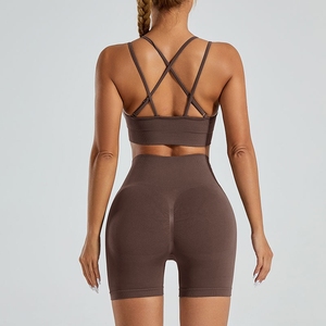 Nuevo conjunto deportivo transfronterizo: sujetador deportivo sin costuras con efecto <span class=keywords><strong>push</strong></span>-<span class=keywords><strong>up</strong></span>, pantalones de yoga de <span class=keywords><strong>cintura</strong></span> <span class=keywords><strong>alta</strong></span> con efecto levanta glúteos, ropa para correr y fitness. - Product Image 6