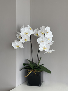 Calidad Premium 8 cabezas Real Touch látex Faux Artificial Phalaenopsis orquídeas para sala de estar <span class=keywords><strong>orquídea</strong></span> decoración flor - Product Image 6