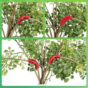 Pinces de pliage pour plantes, coudes de formation LST pour plantes, outils de formation pour bonsaïs, pinces de formation et plieurs de tubes pour plantes - Product Image 3