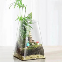 Verre transparent affichage de bureau Terrarium pot carré décor à la maison planteur pour la croissance des plantes hydroponiques salle à manger Vase
