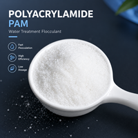 Polyacrylamide Cationique pour le Conditionnement des Boues pour Presse à Filtre