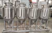 Système de fermentation de réservoir de fermenteur d'équipement de brassage de bière de 100L 200L