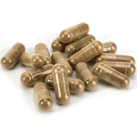 Extrait de racine de maca naturelle en poudre micronisée